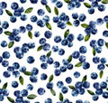 Blueberry Berry Summer Spring Coquette Fruit Print Scrub Cap Euro, Euro Ponytail and Tie Back Optional Satin Lining