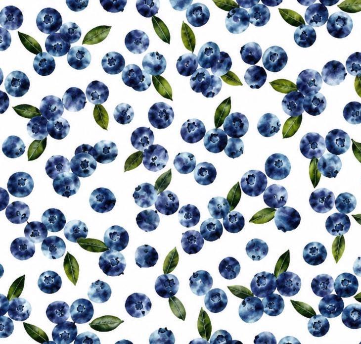 Blueberry Berry Summer Spring Coquette Fruit Print Scrub Cap Euro, Euro Ponytail and Tie Back Optional Satin Lining