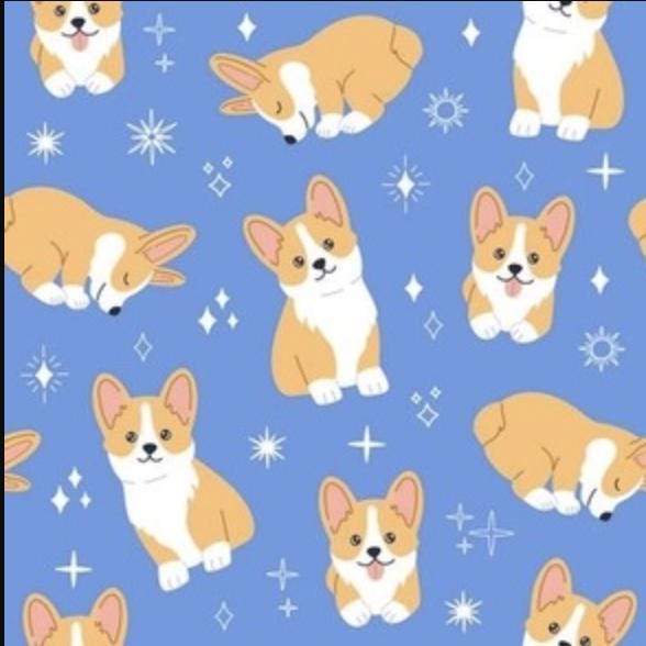Corgi Puppy and Stars Dog Pet Lover Print Scrub Cap Euro, Euro Ponytail and Tie Back Optional Satin Lining